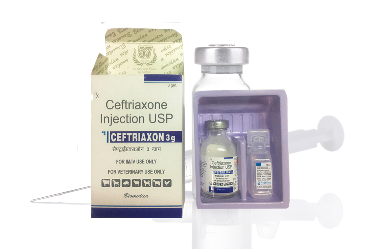 Eye Drops Manufacturers in India, Levofloxacin Eye Drops Manufacturers in Ludhiana, Cyclosporin Eye Drops Manufacturers in Ludhiana, Povidone Lodine Eye Drops Manufacturers in Ludhiana, Brinzolamide Eye Drops Manufacturers in Ludhiana, Brinzolamide Eye Drops Manufacturers in Ludhiana, Computer Eye Drops Manufacturers in Ludhiana, Ceftriaxone Sodium Injection Manufacturers in Punjab, Ceftriaxone Sodium Injection Manufacturers in Ludhiana, Cefiperazone Sodium Intramammary Injection Manufacturers in Ludhiana, Cyclosporin Eye Drops Manufacturers in Punjab, Brimonidine Tartrate and Timolol Maleate Eye Drops Manufacturers in Ludhiana, Brinzolamide Eye Drops Manufacturers in Punjab, Biomedica Remidies in Ludhiana, Povidone Lodine Eye Drops Manufacturers in Punjab, Computer Eye Drops Manufacturers in Punjab, Eye Drops Manufacturers in Ludhiana, Levofloxacin Eye Drops Manufacturers in Punjab, Cefiperazone Sodium Intramammary Injection Manufacturers in Punjab,  Brimonidine Tartrate and Timolol Maleate Eye Drops Manufacturers in Punjab, Eye Drops Manufacturers in Punjab,Biomedica Remidies in Punjab,  Levofloxacin Eye Drops Manufacturers in India, Cyclosporin Eye Drops Manufacturers in India, Povidone Lodine Eye Drops Manufacturers in India, Brinzolamide Eye Drops Manufacturers in India, Computer Eye Drops Manufacturers in India, Biomedica Remidies in India, Cefiperazone Sodium Intramammary Injection Manufacturers in India, Ceftriaxone Sodium Injection Manufacturers in India,  Brimonidine Tartrate and Timolol Maleate Eye Drops Manufacturers in India.