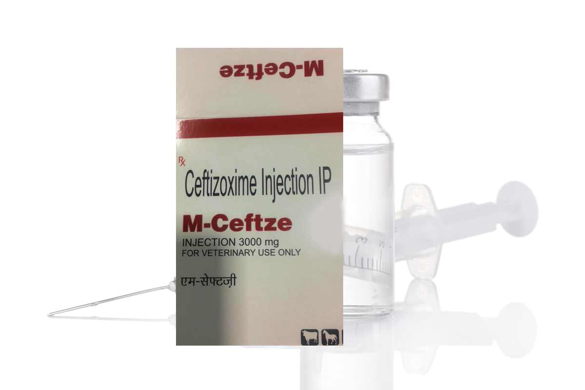Eye Drops Manufacturers in India, Levofloxacin Eye Drops Manufacturers in Ludhiana, Cyclosporin Eye Drops Manufacturers in Ludhiana, Povidone Lodine Eye Drops Manufacturers in Ludhiana, Brinzolamide Eye Drops Manufacturers in Ludhiana, Brinzolamide Eye Drops Manufacturers in Ludhiana, Computer Eye Drops Manufacturers in Ludhiana, Ceftriaxone Sodium Injection Manufacturers in Punjab, Ceftriaxone Sodium Injection Manufacturers in Ludhiana, Cefiperazone Sodium Intramammary Injection Manufacturers in Ludhiana, Cyclosporin Eye Drops Manufacturers in Punjab, Brimonidine Tartrate and Timolol Maleate Eye Drops Manufacturers in Ludhiana, Brinzolamide Eye Drops Manufacturers in Punjab, Biomedica Remidies in Ludhiana, Povidone Lodine Eye Drops Manufacturers in Punjab, Computer Eye Drops Manufacturers in Punjab, Eye Drops Manufacturers in Ludhiana, Levofloxacin Eye Drops Manufacturers in Punjab, Cefiperazone Sodium Intramammary Injection Manufacturers in Punjab,  Brimonidine Tartrate and Timolol Maleate Eye Drops Manufacturers in Punjab, Eye Drops Manufacturers in Punjab,Biomedica Remidies in Punjab,  Levofloxacin Eye Drops Manufacturers in India, Cyclosporin Eye Drops Manufacturers in India, Povidone Lodine Eye Drops Manufacturers in India, Brinzolamide Eye Drops Manufacturers in India, Computer Eye Drops Manufacturers in India, Biomedica Remidies in India, Cefiperazone Sodium Intramammary Injection Manufacturers in India, Ceftriaxone Sodium Injection Manufacturers in India,  Brimonidine Tartrate and Timolol Maleate Eye Drops Manufacturers in India.